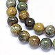Natural Chrysocolla Beads Strands G-F602-06-12mm-3