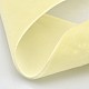 Ruban de velours en polyester pour emballage de cadeaux et décoration de festival SRIB-M001-10mm-028-2