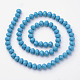 Faceted Solid Color Glass Rondelle Bead Strands GLAA-Q044-10mm-21-2