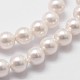 Chapelets de perles en coquille BSHE-L025-01-4mm-3