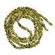 Natürlichen Peridot Perlen Stränge&nbsp;X-G-P332-48-02-5