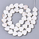 Natural Freshwater Shell Beads Strands X-SHEL-N026-51A-01-2