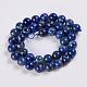 Natural Lapis Lazuli Beads Strands G-K254-01-10mm-4