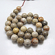 Natural Fossil Coral Beads Strands G-G212-8mm-31-1