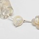 Natural White Shell Beaded Necklaces NJEW-L096-18-4