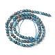 Natural Apatite Beads Strands G-L554-01-4mm-3