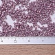 Perline miyuki delica piccole X-SEED-J020-DBS0253-4