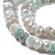 Brins de perles de verre plaquées à facettes X-GLAA-C023-02B-4