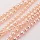 Natural Cultured Freshwater Pearl Graduated Beads Strands PEAR-G007-05B-1