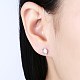 Exquisite 925 Sterling Silver Cubic Zirconia Stud Earrings EJEW-BB20078-2