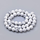 Natürliche Howlith Perlen Stränge X-G-S259-47-6mm-2