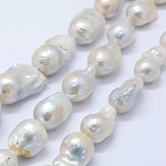 Natural Baroque Pearl Keshi Pearl Beads Strands, Cultured Freshwater Pearl, Nuggets, Creamy White, 20~30x15~19x15mm, Hole: 0.5mm, about 20pcs/strand, 15.3inch