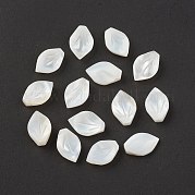 Бусины из натуральных морских раковин SSHEL-T012-15