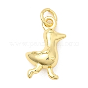 Латунные подвески KK-I364-02G-03