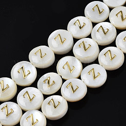 Perles de coquillages naturels d'eau douce&nbsp;SHEL-S276-168