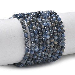 Natürliche kyanit / cyanit / disthen perlen stränge&nbsp;G-L651-C02-4mm