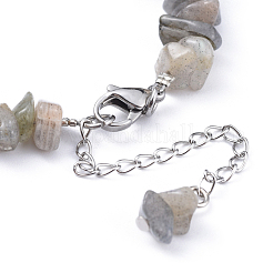 Bracelets de puce de labradorite naturelle&nbsp;BJEW-JB04489-03