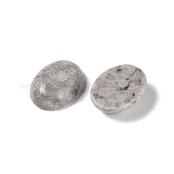 Natürliche Maifanit-Cabochons&nbsp;G-B080-01A-12