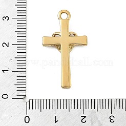 Pendentifs en strass en acier inoxydable 304&nbsp;STAS-P430-01C-G01