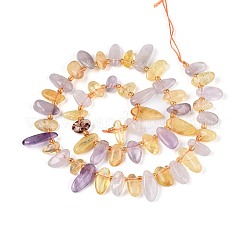 Naturperlen Stränge ametrine&nbsp;G-Z091-A41