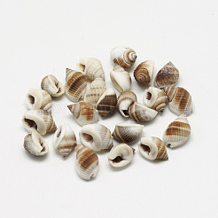 Cuentas de concha de caracol naturales&nbsp;LS-BSHE-S613-02