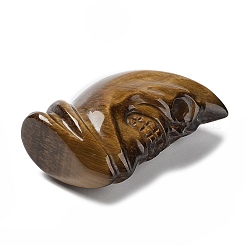 Figurines de crâne de guérison sculptées en œil de tigre naturel&nbsp;G-H288-04-02