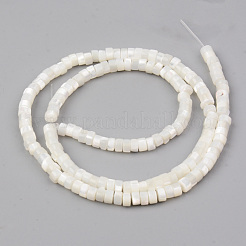Natürliche Trochidschale / Trochusschalenperlenstränge&nbsp;X-SHEL-R049-024