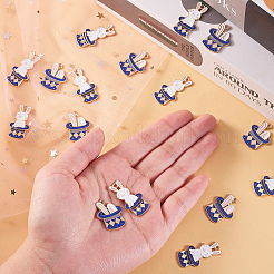 40pcs 2 Stil Zinklegierung Emaille-Anhänger&nbsp;ENAM-CJ0001-105
