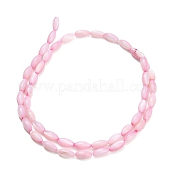 Eau douce naturelle de coquillage perles brins&nbsp;X-SHEL-C010-01E