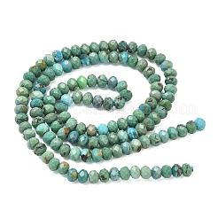 Natur hubei türkisfarbenen Perlen Stränge&nbsp;G-P629-B02-01