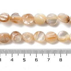 Natürliche Trochusmuschelperlenstränge&nbsp;SHEL-G020-02