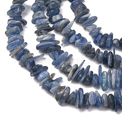 Fili di perline di cianite naturale / cianite / framene&nbsp;X-G-E271-78