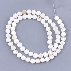 Shell perle d'acqua dolce fili&nbsp;X-SHEL-S276-15A
