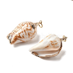 Pendentifs coquille spirale électrolytique&nbsp;BSHE-L036-43