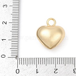 Messing Anhänger & Charms&nbsp;LS-KK-Q049-01C-G