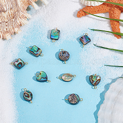 10 Stück 5 Stile natürliche Abalone-Muschel/Paua-Muschel-Verbindungsanhänger&nbsp;PALLOY-WH00011
