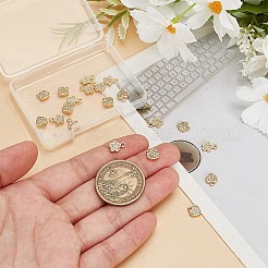 20 pièce 2 styles de breloques en laiton et zircone cubique transparente&nbsp;FIND-AR0005-22G