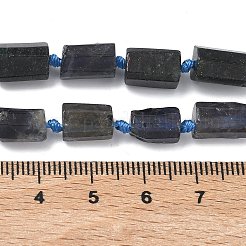 Naturperlen Stränge iolite&nbsp;G-C270-K06