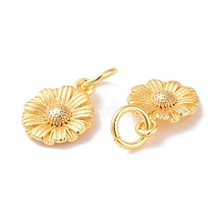 Breloques en laiton&nbsp;KK-G418-28G
