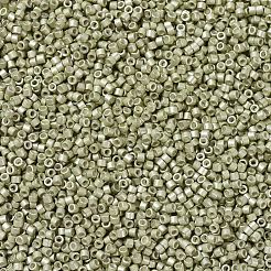 Miyuki Delica Perlen&nbsp;SEED-JP0008-DB1181