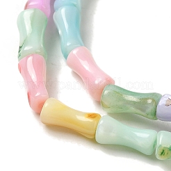 Regenbogenfarben gefärbte Stränge natürlicher Süßwassermuschelperlen&nbsp;X1-SHEL-G018-02C
