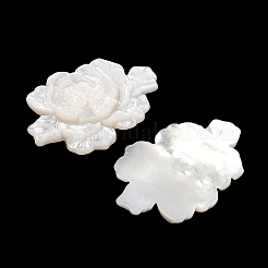 Natürliche weiße Muschel-Cabochons geschnitzt&nbsp;SSHEL-I026-15