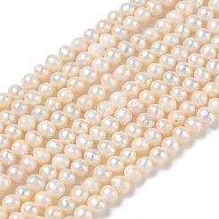 Brins de perles de culture d'eau douce naturelles&nbsp;PA-CBAC463-40