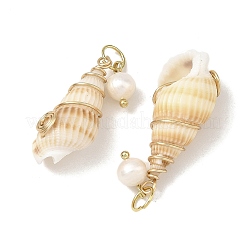 Pendentifs en coquillage naturel enroulés de fil de cuivre en spirale&nbsp;PALLOY-JF05972-02