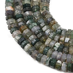 Natur Moos Achat Perlen Stränge&nbsp;G-G317-A26-3X6MM