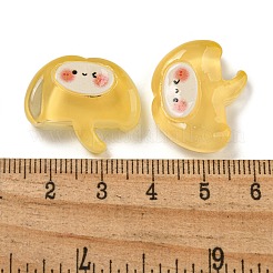 Cabochons aus opakem Harz mit Eismeer-Motiv&nbsp;CRES-D040-02G