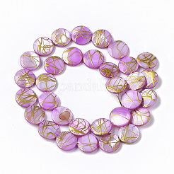 Fili perline di conchiglia d'acqua dolce&nbsp;SHEL-T014-012E