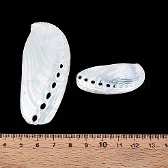 Abalone-Muscheln-Ornamente&nbsp;SHEL-T020-54