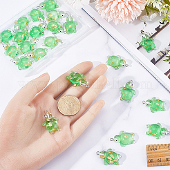 30pcs pendentifs en résine transparente&nbsp;RESI-SC0002-72