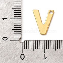 Anhänger aus 304 Edelstahl&nbsp;STAS-B093-12G-V